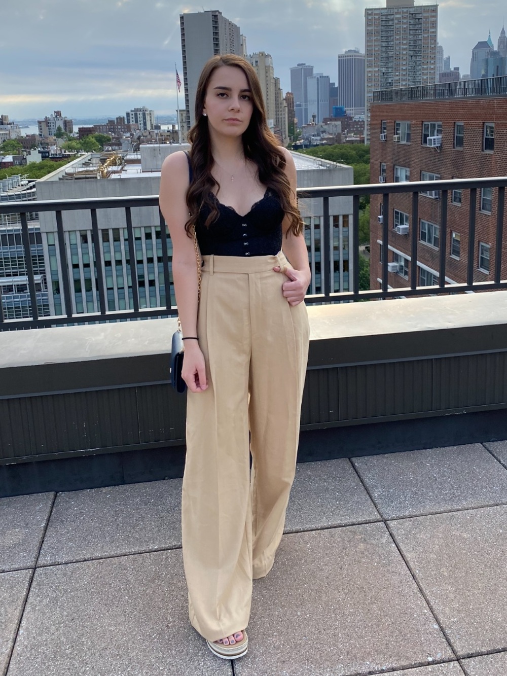 Zara High-Waist Wide-Leg Dress Pants